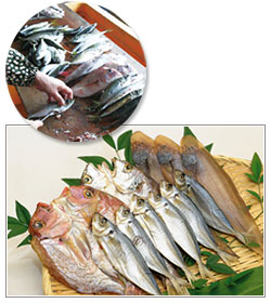 小豆島・醤油干しセット(5品)